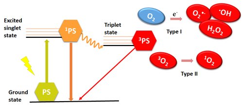 Liu2015JClinTranslRes - GraphicalAbstract.png