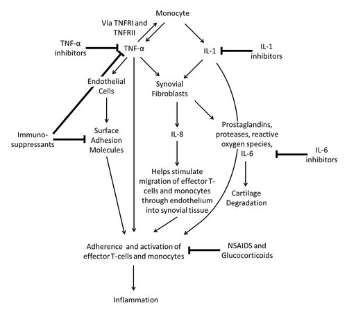 Figure 1-BB.jpg